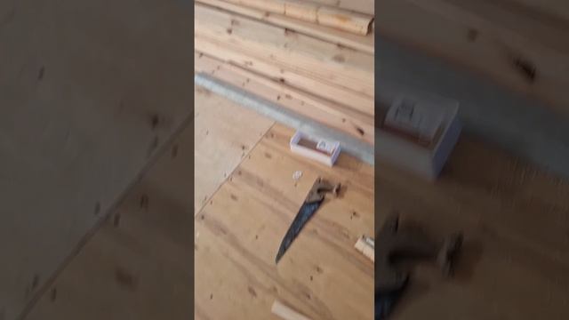 1000064196.mp4 (Собака слушает о технологии устройства вентиляции из ванной в доме А-фрейм) смотреть онлайн