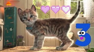 МОЙ ЛЮБИМЫЙ КОШКА, МУЛЬТФИЛЬНО