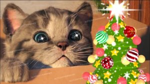 ПРИКЛЮЧЕНИЯ МАЛЕНЬКОГО КОТЕНКА