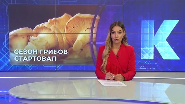 Новости Калининграда — итоги дня, 17.07.2026