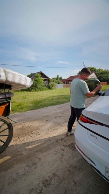 Доставка лошадью матрасов по всей стране