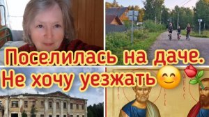 18-07-2026 Поселилась на даче.Не хочу уезжать.