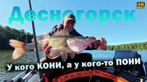 Рыбалка в Десногорске. Ловля СУДАКА и ЩУКИ с лодки