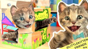 Приключенческие развивающие иг