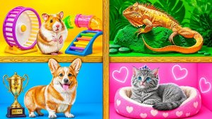 Строим Домики для Животных # Смешные Ситуации и Неудачи