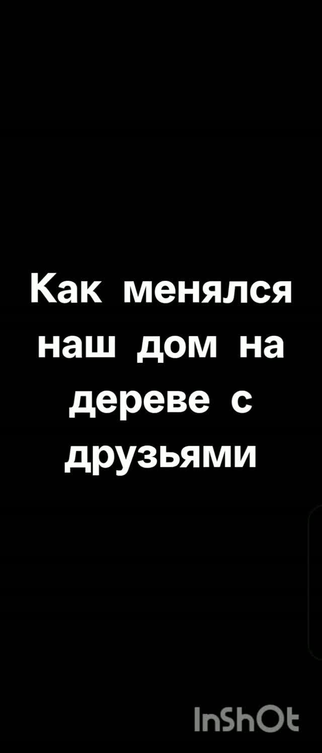 Эволюция нашего дома на дереве, который мы строили с друзьями 2 года назад | Савондер, Shorts