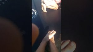 1000005233.mp4