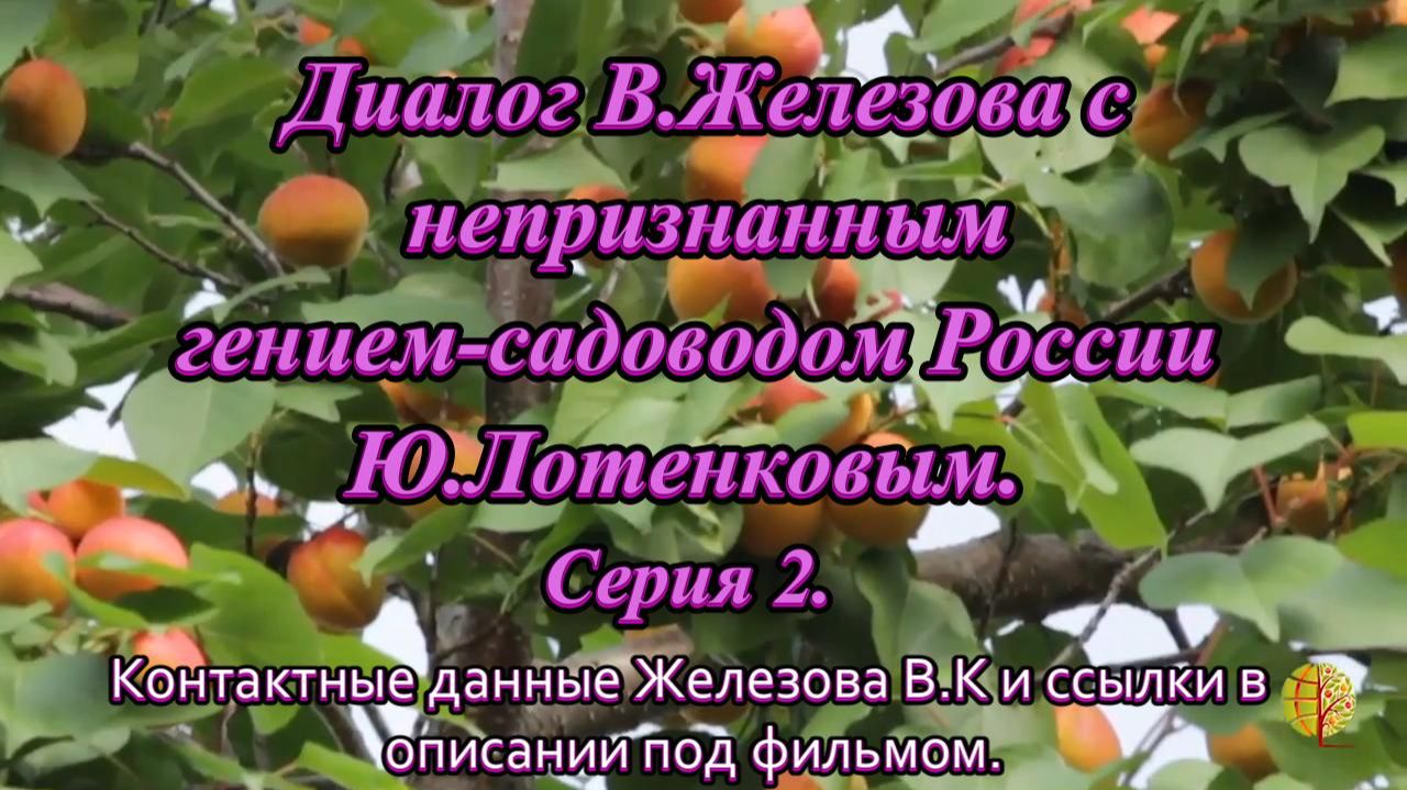 Диалог В.Железова с непризнанным гением-садоводом России Ю.Лотенковым.  Серия 2.