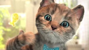 Веселые милые котята Уход за д