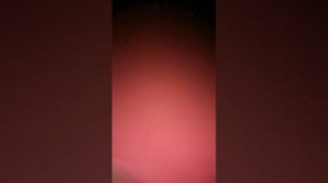 1000003802.mp4