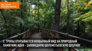 Навстречу природе: где прогуляться среди лесов, болот и побережья
