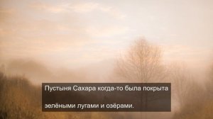 Текстуры мира: Макросъемка обычных вещей