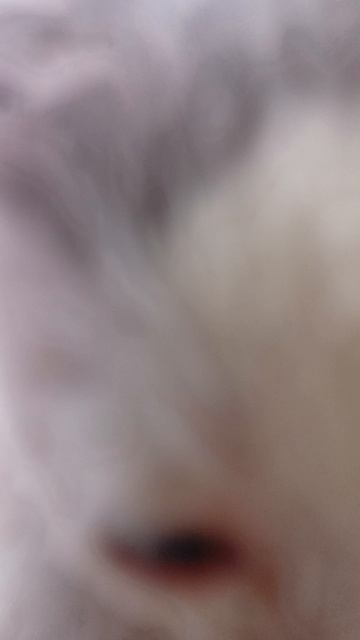 🐱🐱🐱🐱🐱🐱🐱🐱🐱🐱🐱🐱🐱🐱🐱🐱🐱🐱