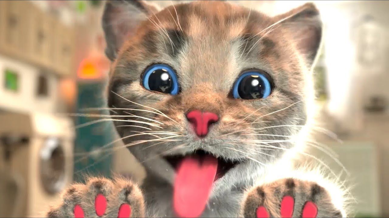Анимированный котёнок Cute Kit смотреть онлайн