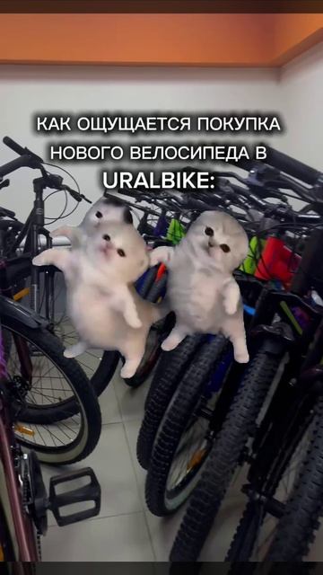 URALBIKE УФА