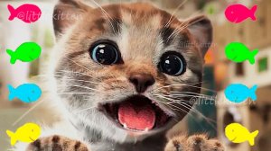 ПРИКЛЮЧЕНИЯ МАЛЕНЬКОГО КОТЕНКА