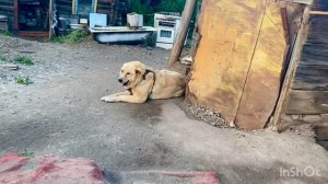 Предупреждать надо , когда приходите