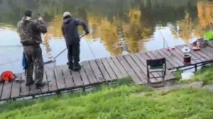 Утро на водоёме