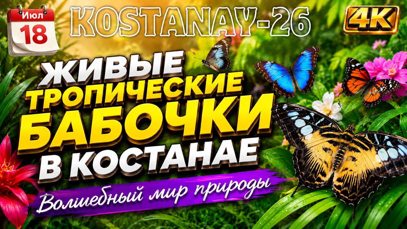 Zhivye-tropicheskie-babochki-v-kostanae-iyul-2026