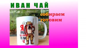 ИВАН  ЧАЙ или КИПРЕЙ. Рецепт приготовления старинного русского напитка.