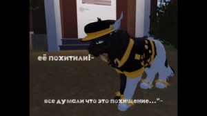 ловите мои котята!»-