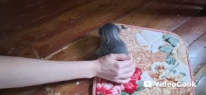 Влог/330/ Погода испортилась/ Котёнок инвалид?/ Что купила...