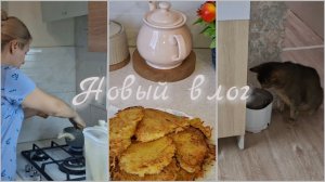 ПОЗДНИЙ УЖИН.НОВОЕ РАЗВЛЕЧЕНИЕ ДЛЯ КОТИКОВ.ЭТО ЗНАК!ЗАВТРАК