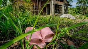 Двое мужчин убили 11-летнюю девочку и спрятали ее тело в кустах