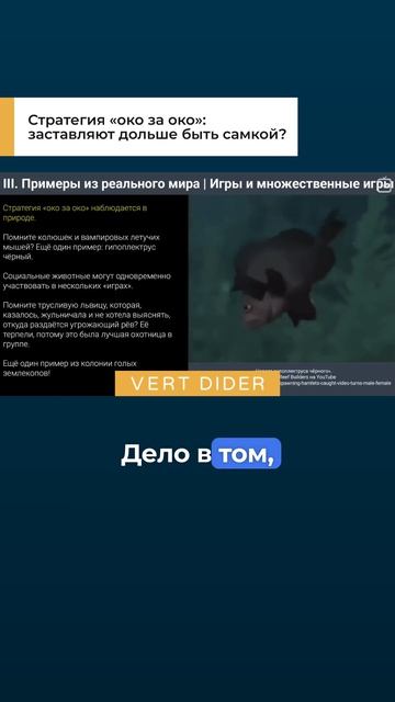 Стратегия «око за око»: заставляют дольше быть самкой?