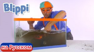 Блиппи моет машины. Весёлые приключения для детей. Блиппи на русском