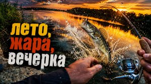 2 часа на вечерке! Судак и окунь клевали один за другим секретные приманки и проводки.#судак #окунь