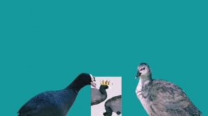 Лысухины 2 часть карты