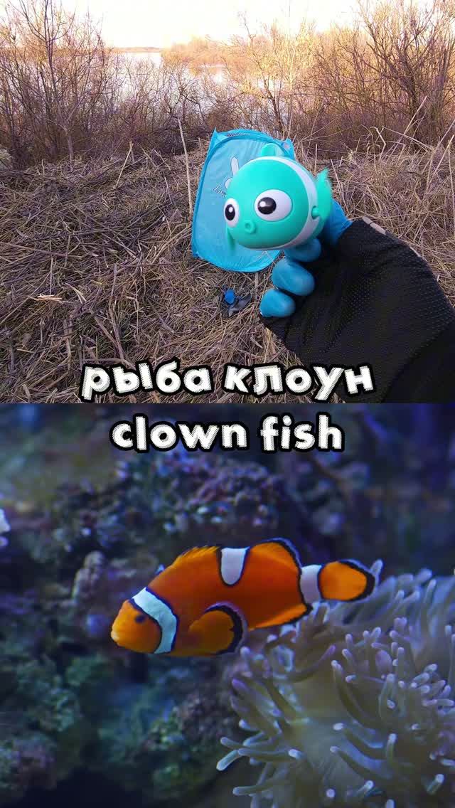 Учим животных для детей с помощью игрушек кидая в корзину у реки