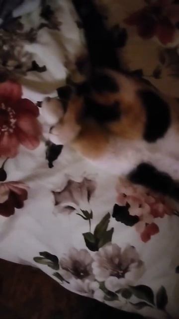 ОТДЫХ😻😻😻 смотреть онлайн