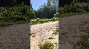 Обзор дома.