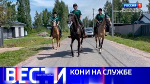 Вести Санкт-Петербург. Выпуск 20.50 от 18.07.2026
