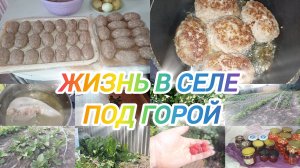 КОТЛЕТКИ ВПРОК. ЖИЗНЬ В СЕЛЕ ПОД ГОРОЙ