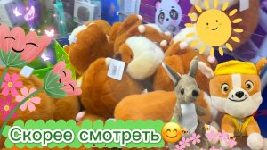 САМОЕ СВЕЖЕЕ ВИДЕО📽️МНОГО АППАРАТОВ, есть НОВИНКИ😍+ аппараты в ЛЕНТЕ😁