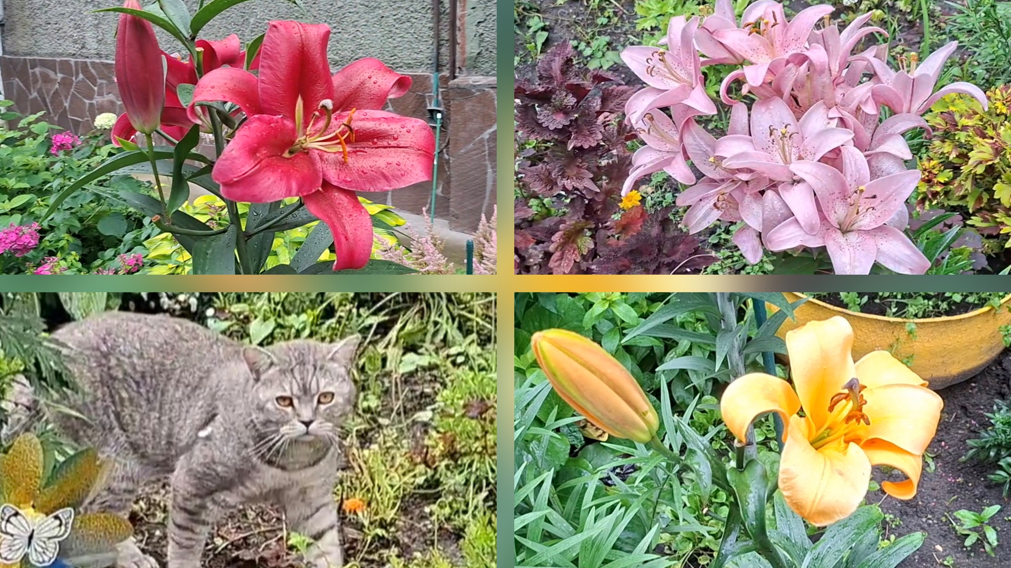 Самый цветочный двор Заречного на ул. Курчатова, 21