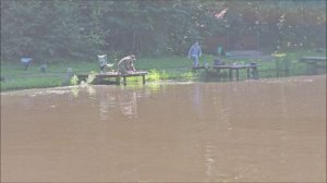 Триплет в поимках карпа на Верхнем водоёме. Клёвое место Лосиный остров.