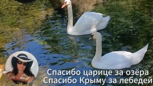 Они такие разные! Восхищаюсь этой красотой!!