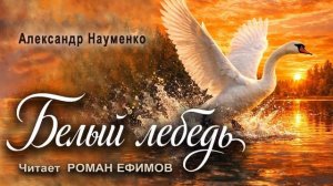 БЕЛЫЙ ЛЕБЕДЬ (аудиокнига). ПОСТАПОКАЛИПСИС. Александр Науменко. Читает Роман Ефимов.