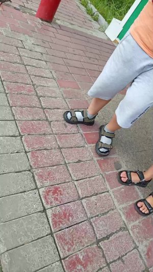 кантент
