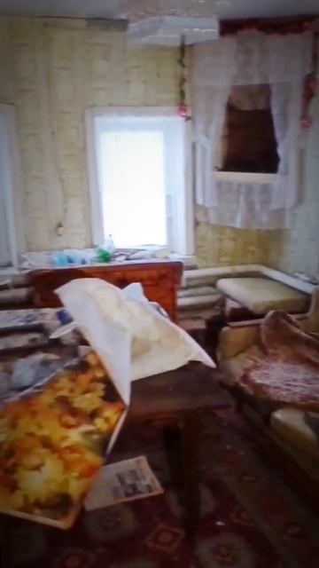 Купили участок сорок соток и заброшенный дом 1975 года!