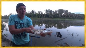 Рыбалкаа на  Дону , Белогорье-- СОМЫ, СУДАКИ, КАРАСИ, ЛЕЩИ, МЕЛОВЫЕ ГОРЫ И ПЕЩЕРЫ !