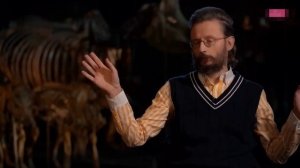 С кого началось заселение Америки