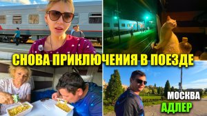 ПОЕЗД МОСКВА-АДЛЕР 2026 🚆 | Вышли из поезда, А ТУТ ТАКОЕ | ПРИКЛЮЧЕНИЯ на Кавказской | Приезд в ЛОО