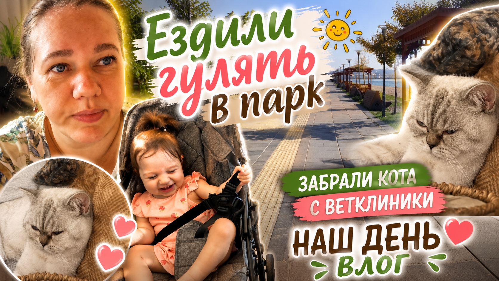 Прогулка в парке и счастливое возвращение кота домой 🐾