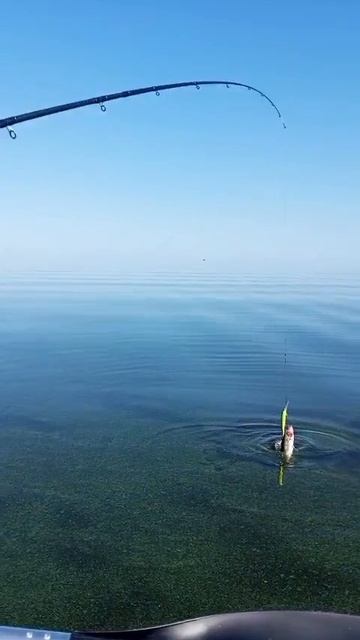 Рыбалка на море Рыбалка на море