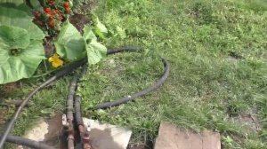Полив участка